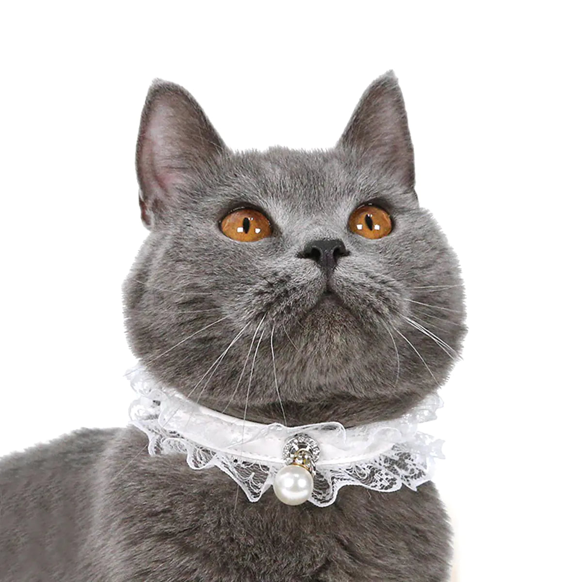 Coleira para Gato de Renda