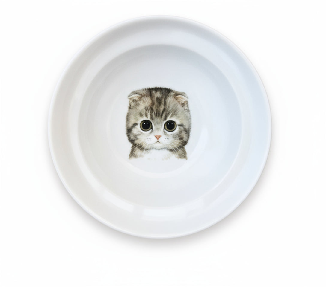 Suporte Ergonômico para Comida de Gato
