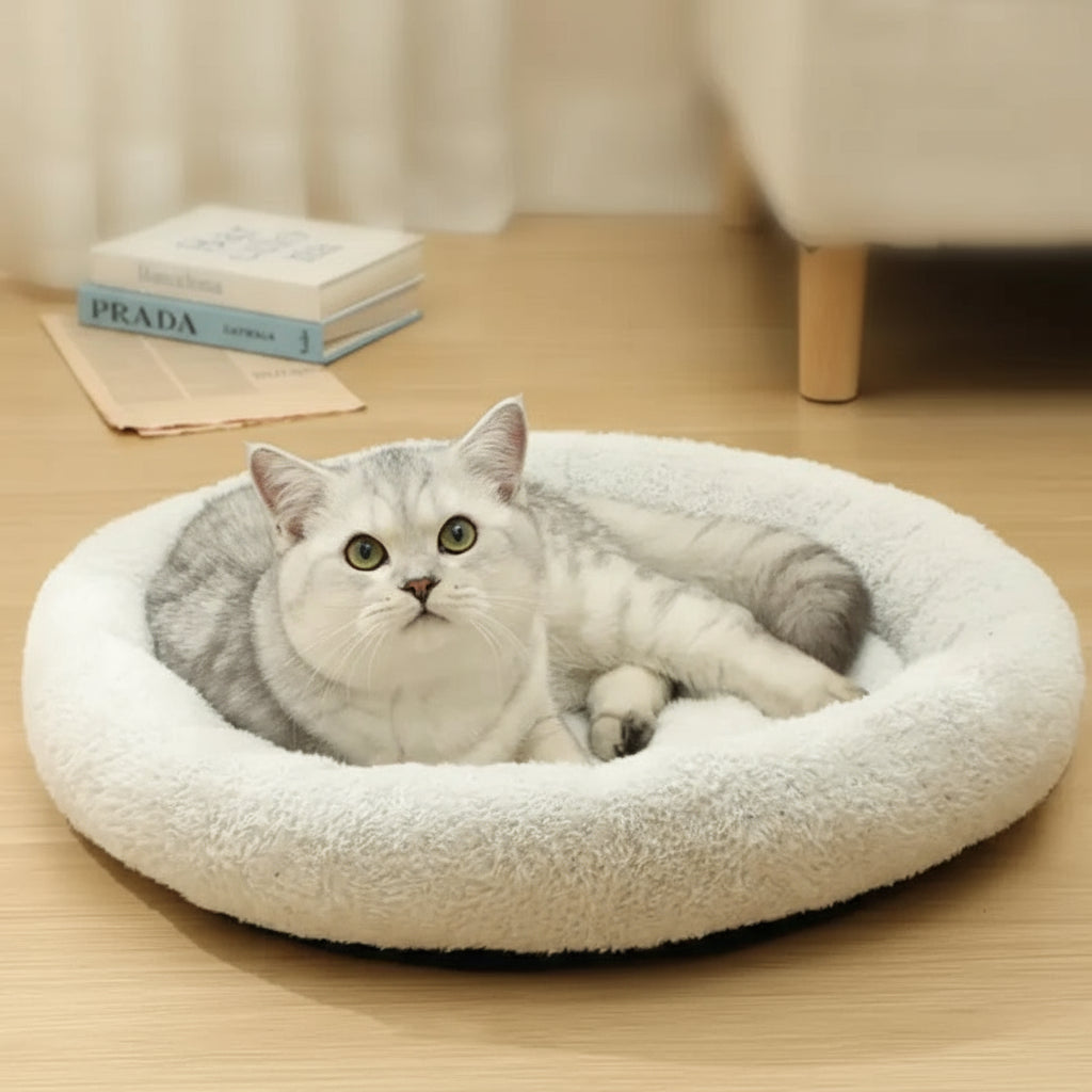 Cama Oval