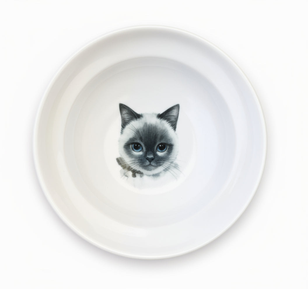 Suporte Ergonômico para Comida de Gato