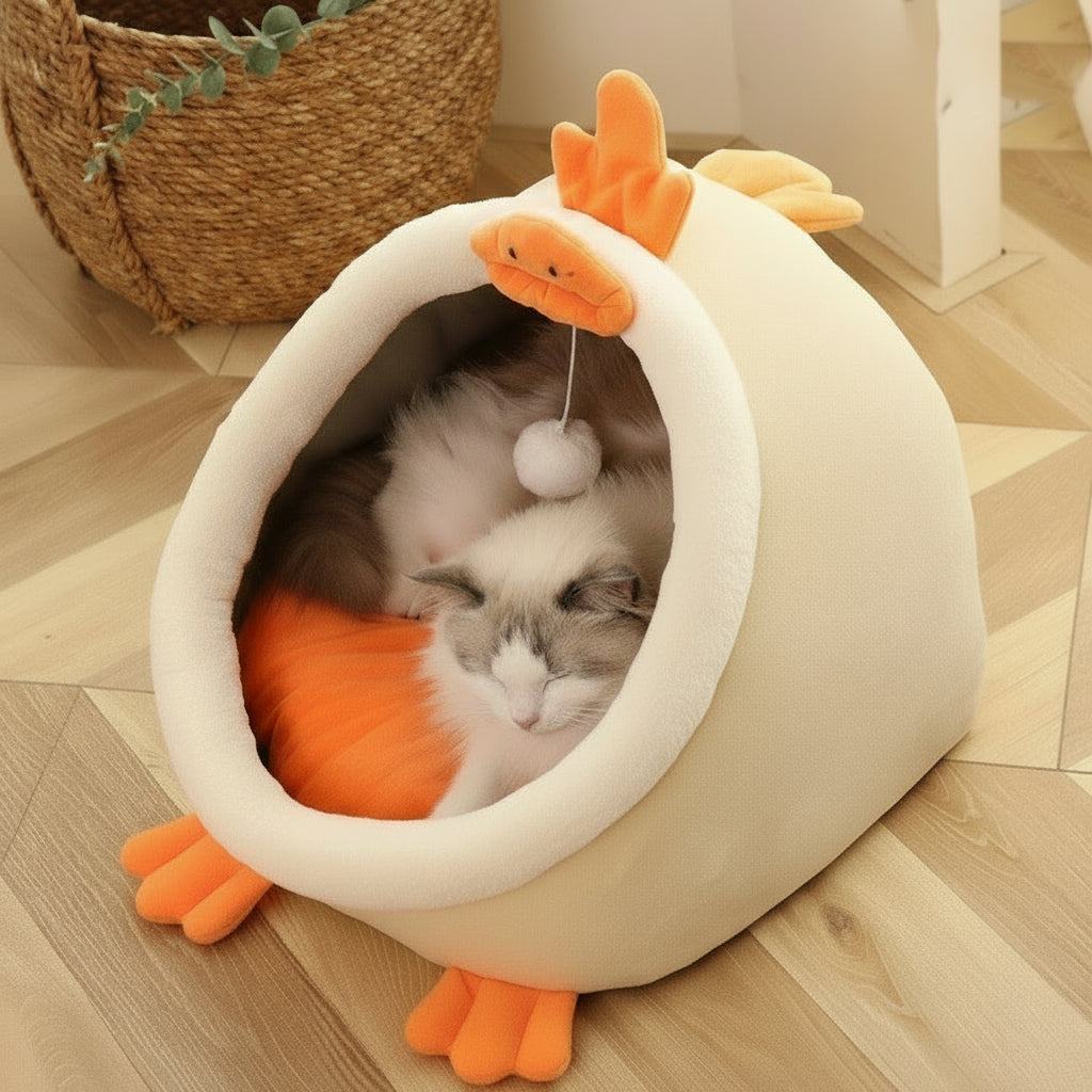 PetNuvem