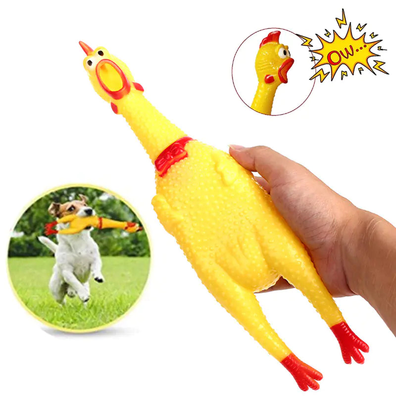 Brinquedo Galinha Squeaky