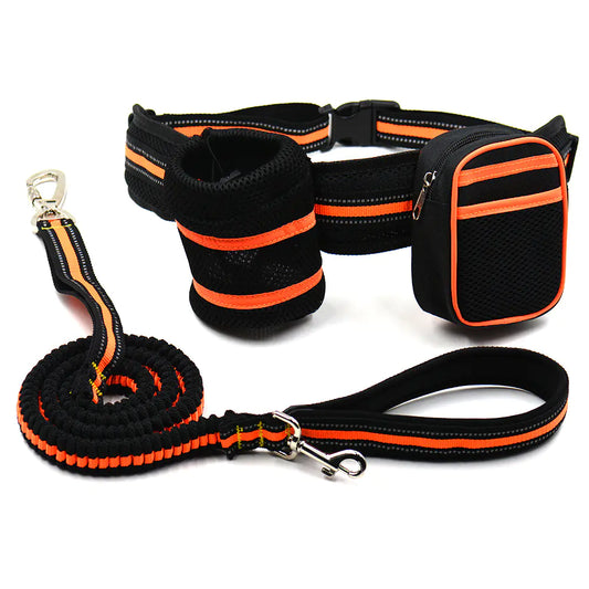 Conjunto de Tração Refletora para Pets para Maior Segurança