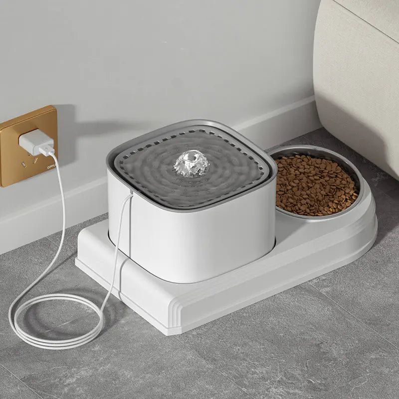 Dispensador automático de água para cães e gatos
